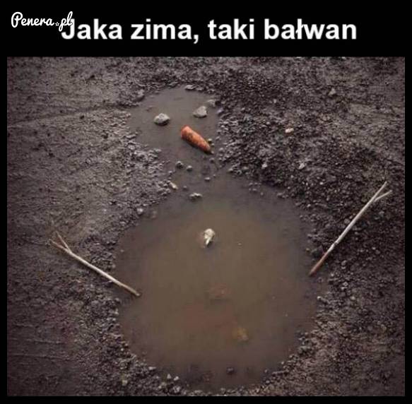 Jaka zima takie bałwan