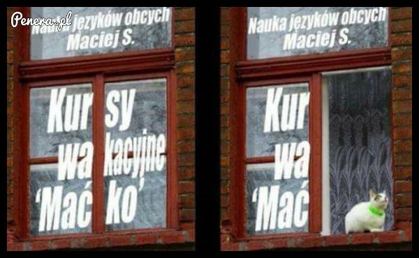 Nauka języków obcych Maćko