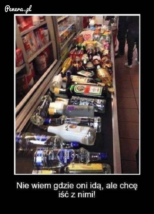 Nie wiem gdzie oni idą ale chcę iść z nimi