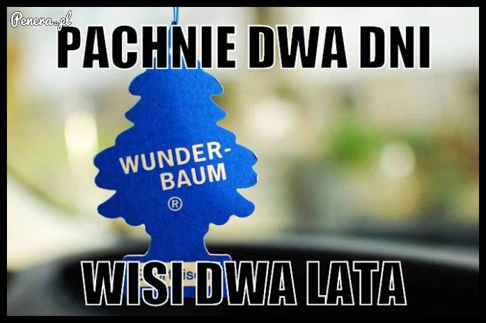 Pachnie dwa dni, wisi dwa lata