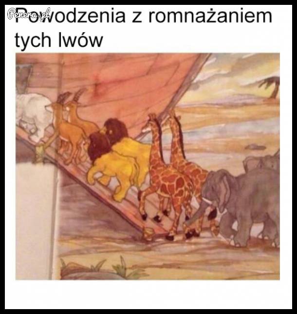 Powodzenia z rozmnażaniem tych Lwów