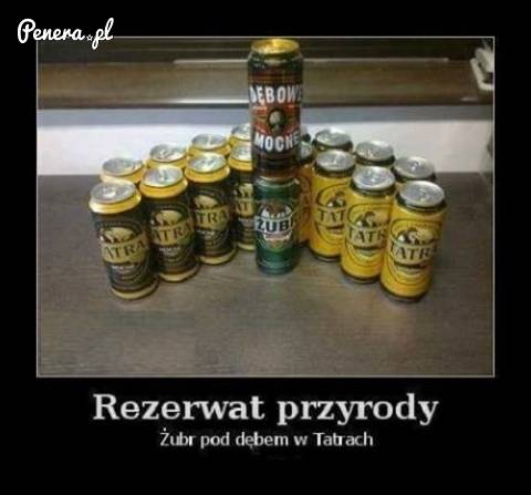 Rezerwat przyrody