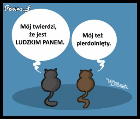 Ludzki pan