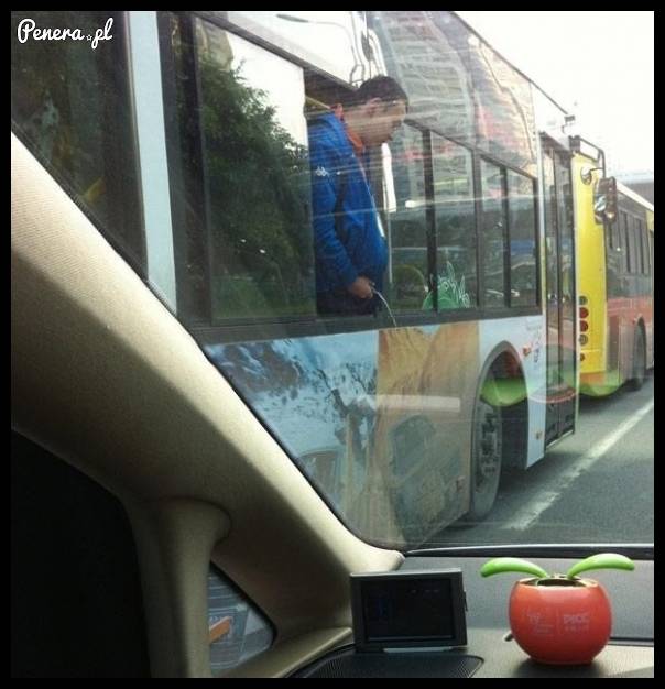 Kiedy wypiłeś browara w autobusie i już nie możesz wytrzymać