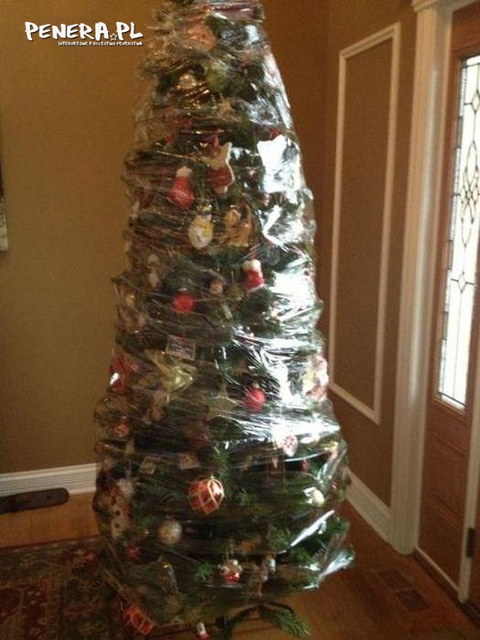 Genialne pakowanie choinki Genialne pakowanie choinki
