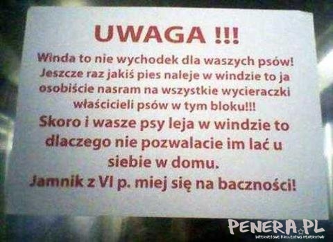 Jamnik z VI lepiej na siebie uważaj Jamnik z VI lepiej na siebie uważaj