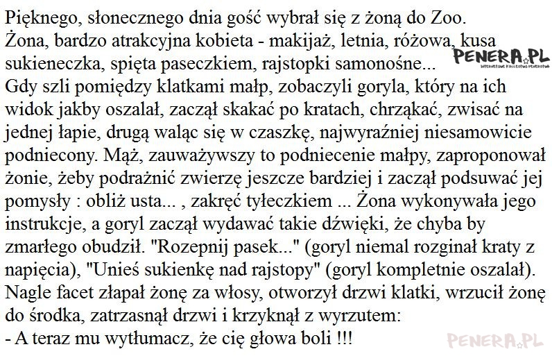 Kawał - Żona z mężem poszli do ZOO Kawał - Żona z mężem poszli do ZOO