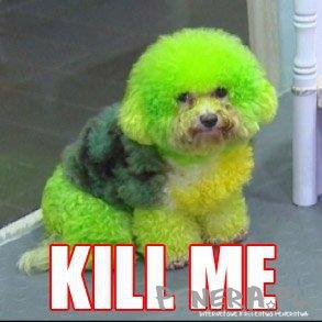 Kill Me tak po prostu Kill Me tak po prostu