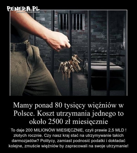 Czy stać nas na darmozjadów? Czy stać nas na darmozjadów?