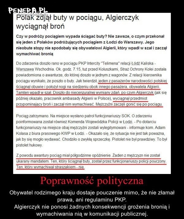 Poprawność polityczna Poprawność polityczna