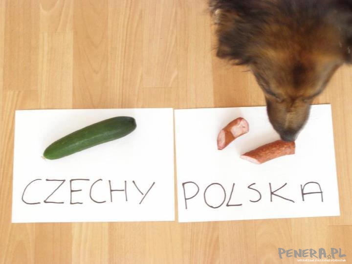 Może on się nie pomyli... Może on się nie pomyli...