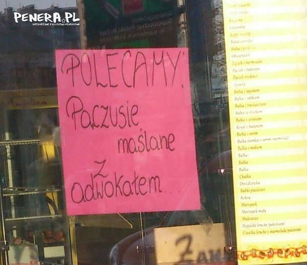 Pączusie z adwokatem Pączusie z adwokatem