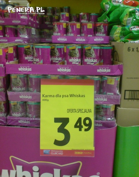 Karma dla kotopsa Karma dla kotopsa