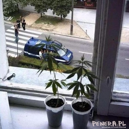 Tak blisko a jednak daleko