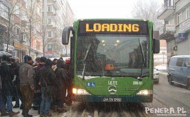 Loading Bus