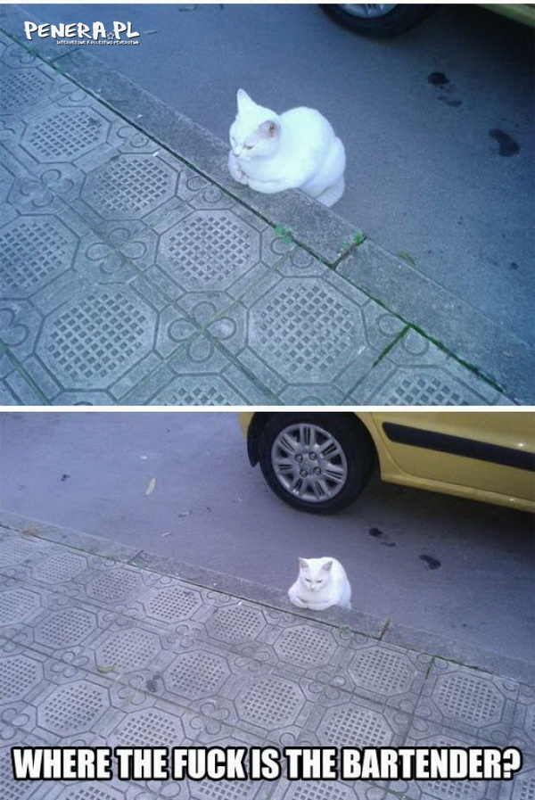 Do cholery gdzie ten barman? Do cholery gdzie ten barman?