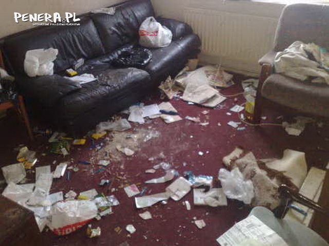 Wstajesz rano i wiesz Wstajesz rano i wiesz