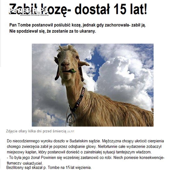 Zabił kozę - dostał 15 lat Zabił kozę - dostał 15 lat
