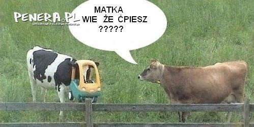 Czasem każdy się zastanawia jaka jest odpowiedź Czasem każdy się zastanawia jaka jest odpowiedź