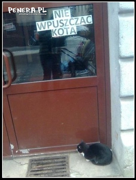Nie wpuszczać kota Nie wpuszczać kota