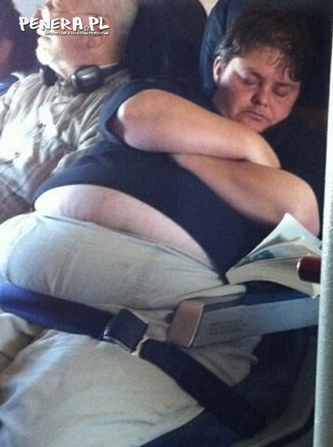 Drzemka hipopotama Drzemka hipopotama