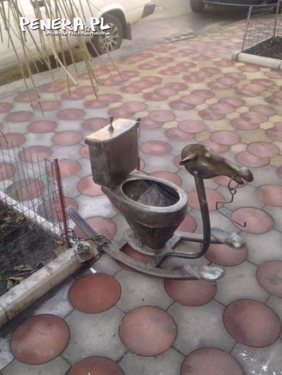 Gdy już myślisz że widziałeś wszystko Gdy już myślisz że widziałeś wszystko