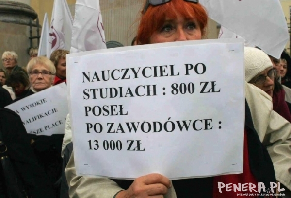 Bo świnie dużo jedzą