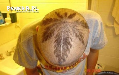 Wielki fan jarania Wielki fan jarania