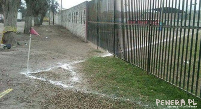 Rożny z za bramy Rożny z za bramy