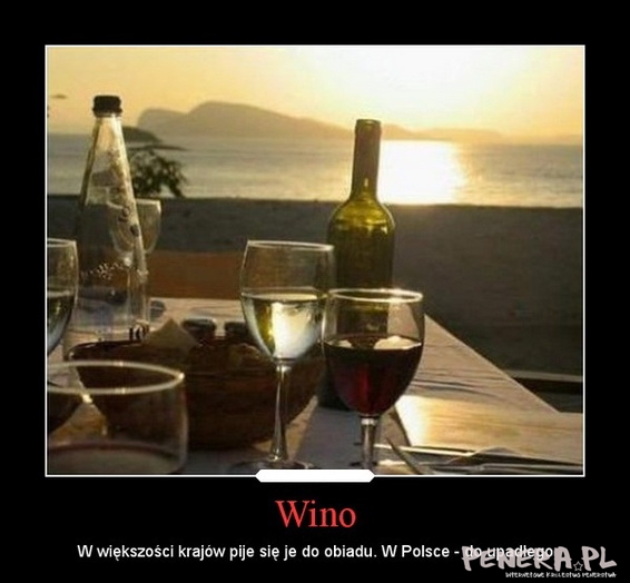 Jak się pije wino w Polsce Jak się pije wino w Polsce