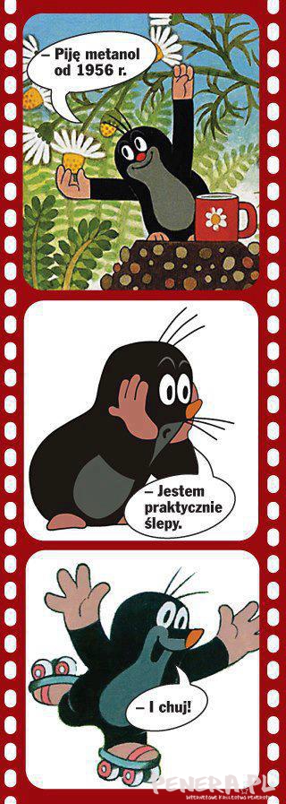 Pije metanol od 1956 roku - Krecik Pije metanol od 1956 roku - Krecik