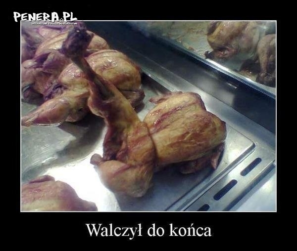 Walczył do końca Walczył do końca