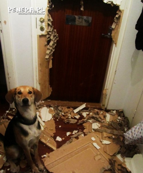 Nuda na chacie Nuda na chacie