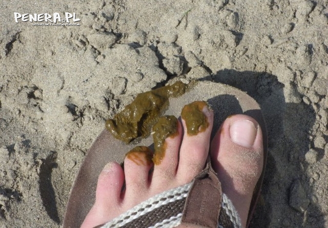 Palce grzebalce Palce grzebalce