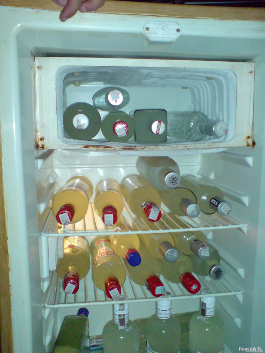 Studencka lodówka Studencka lodówka