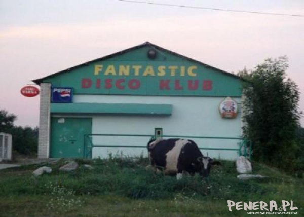 Tu zbiera się największa lanserka Tu zbiera się największa lanserka