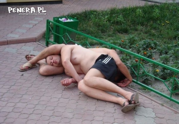 Alko bliźniaki Alko bliźniaki