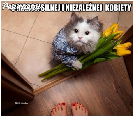 8 marca silnej niezależnej kobiety