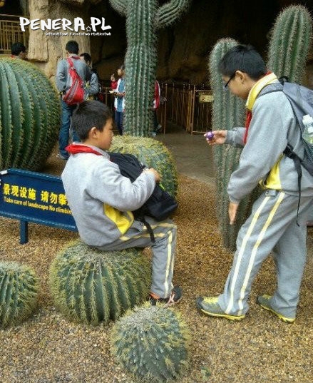 Ławeczka poziom azja Ławeczka poziom azja