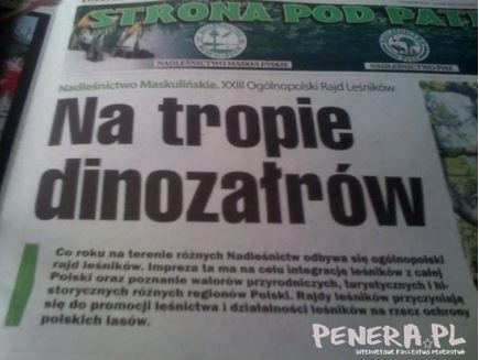 Taki błąd w tytule gazety?! Taki błąd w tytule gazety?!