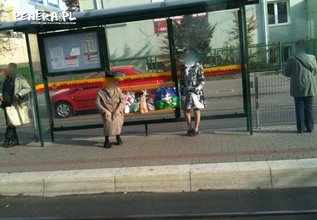 Zmęczone reklamówki Zmęczone reklamówki