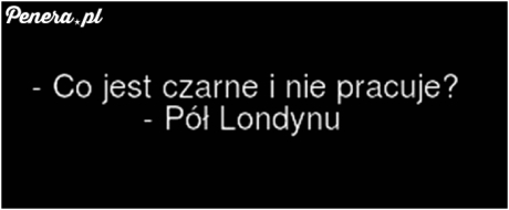 A drugie pół mówi biegle w języku polskim