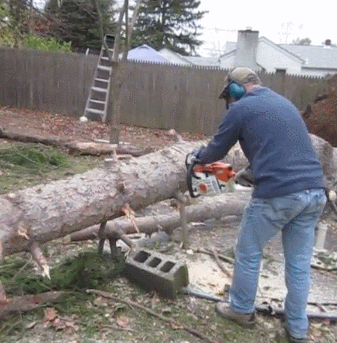 A drzewo stawiam do pionu własnie tak
