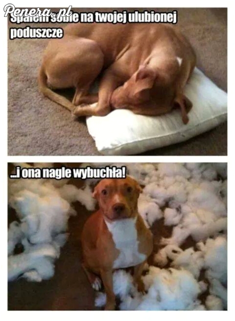 A mi w szkole często wybuchały prace domowe ;)