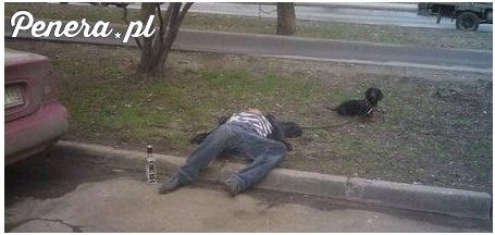 A na spacery z psem chodzę tak