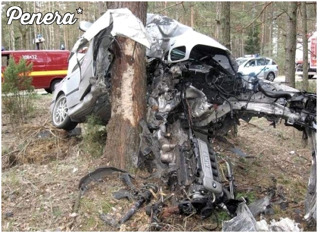 A tak się kasuje BMW na drzewie