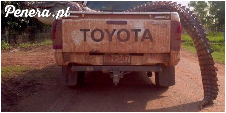 A u nas wielkie halo