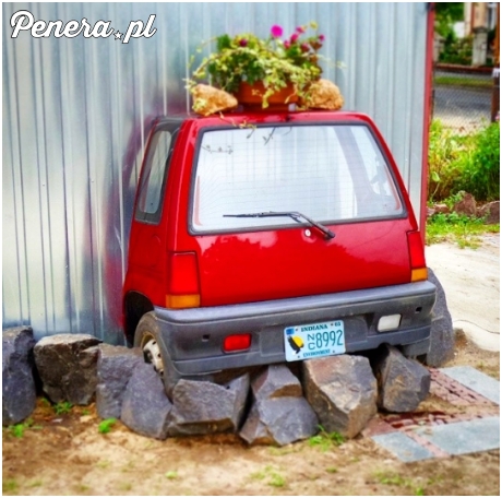 A w Strzegomiu kwietniki wyglądają tak