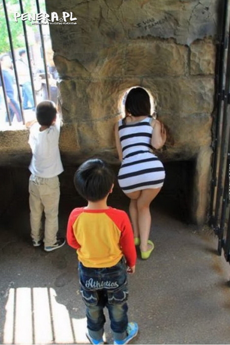 Piękny widok Piękny widok