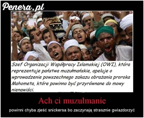 Ach ci muzułmanie